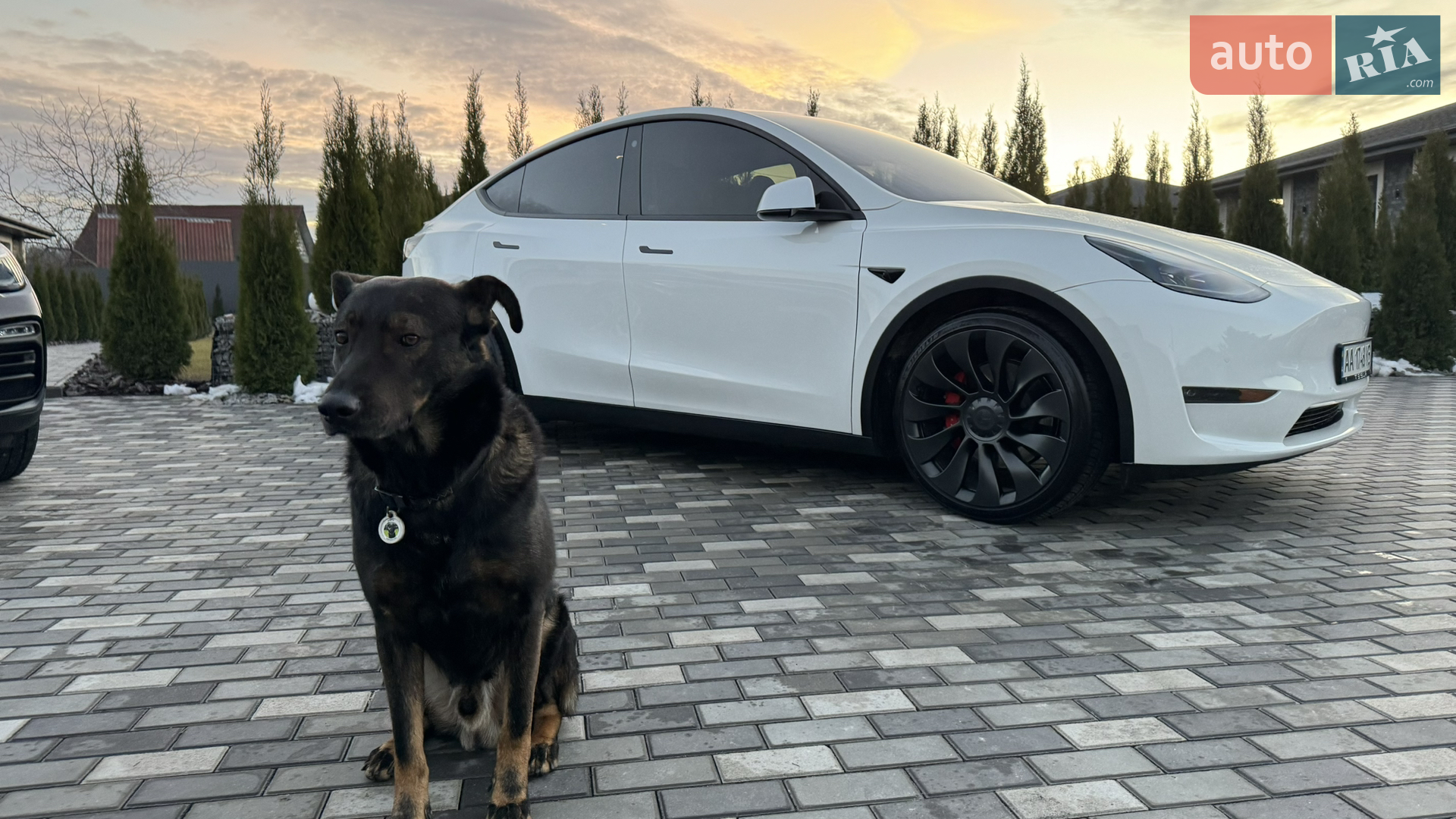 2022 Tesla Model Y - мініатюра 39