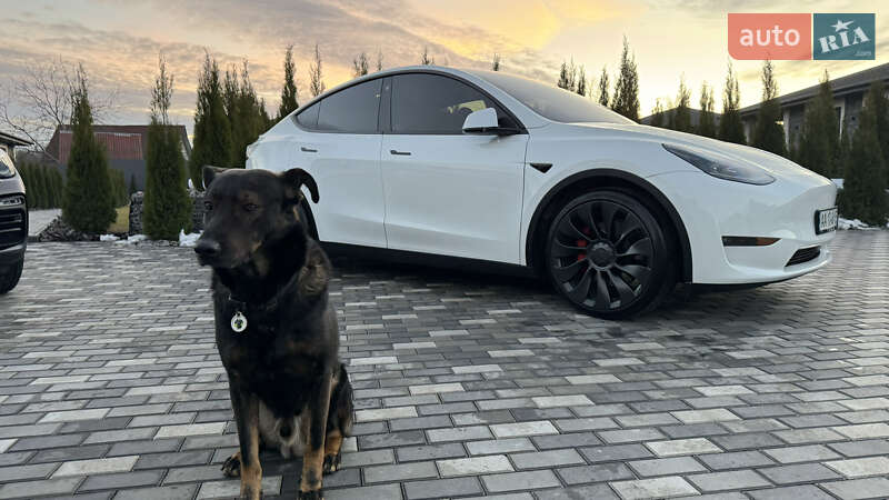 Позашляховик / Кросовер Tesla Model Y 2022 в Києві