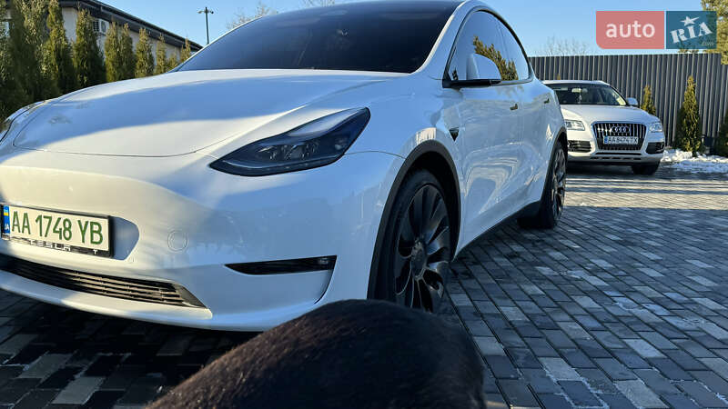 Позашляховик / Кросовер Tesla Model Y 2022 в Києві
