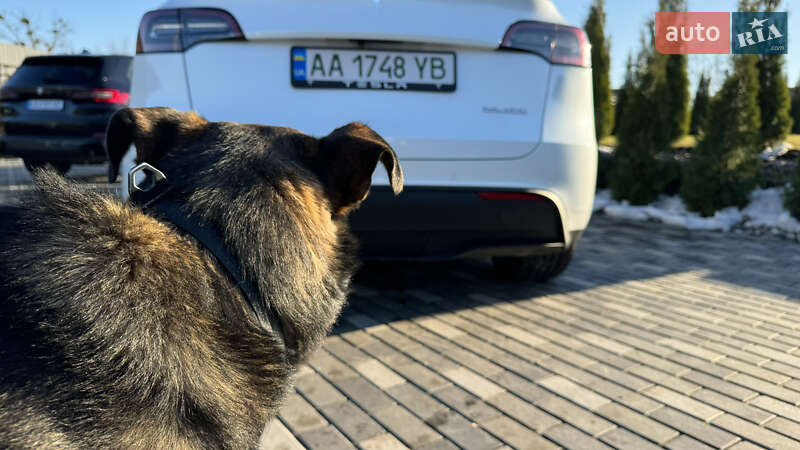 Позашляховик / Кросовер Tesla Model Y 2022 в Києві