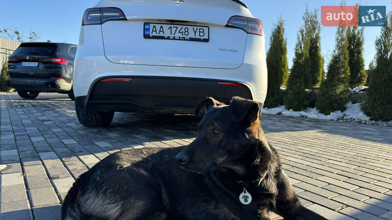 Позашляховик / Кросовер Tesla Model Y 2022 в Києві