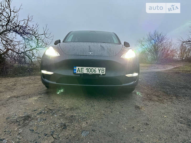 Позашляховик / Кросовер Tesla Model Y 2021 в Дніпрі