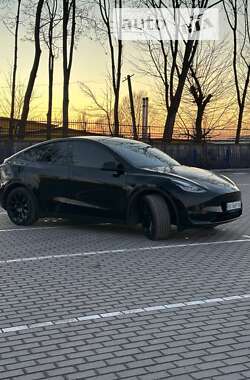 Внедорожник / Кроссовер Tesla Model Y 2021 в Тернополе