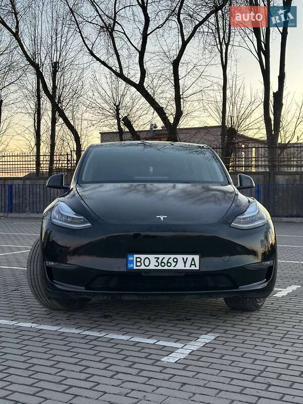 Внедорожник / Кроссовер Tesla Model Y 2021 в Тернополе
