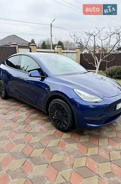 Внедорожник / Кроссовер Tesla Model Y 2021 в Борисполе