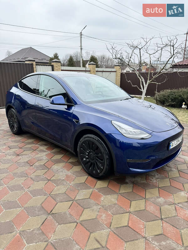 Внедорожник / Кроссовер Tesla Model Y 2021 в Борисполе