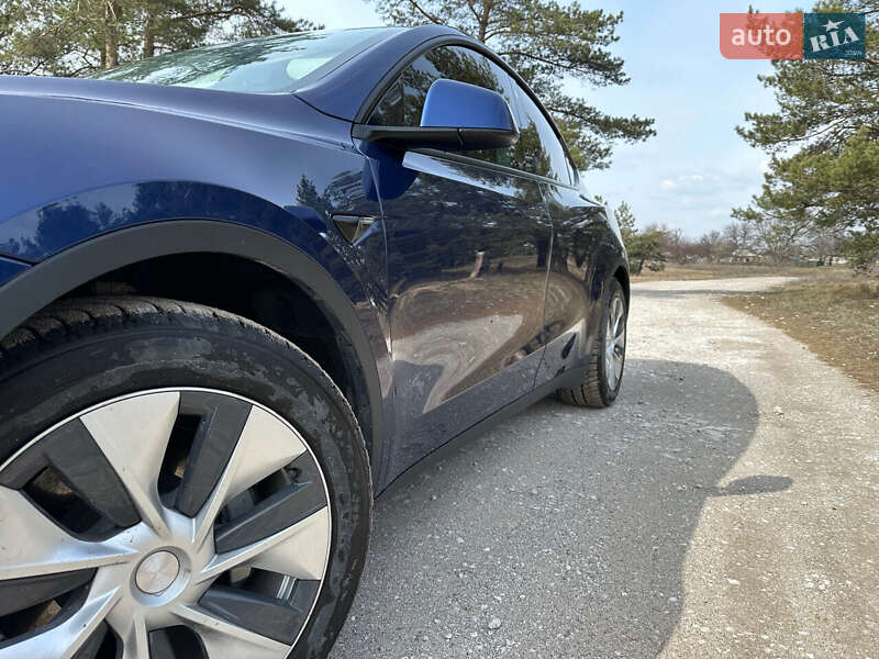 Позашляховик / Кросовер Tesla Model Y 2021 в Кам'янському