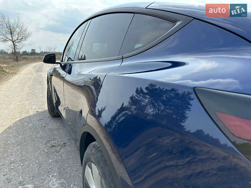 Позашляховик / Кросовер Tesla Model Y 2021 в Кам'янському