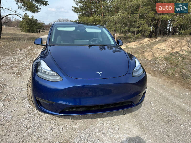 Внедорожник / Кроссовер Tesla Model Y 2021 в Каменском