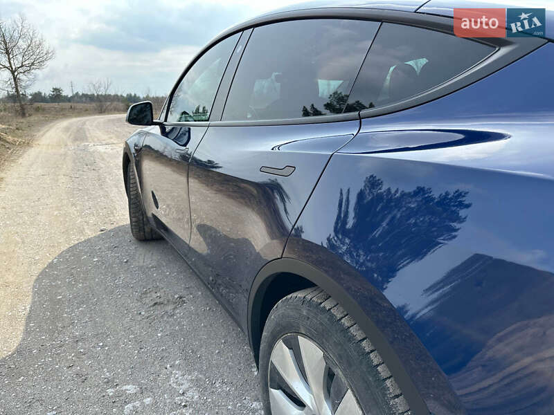 Позашляховик / Кросовер Tesla Model Y 2021 в Кам'янському