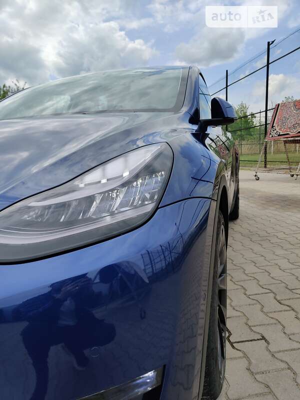 Внедорожник / Кроссовер Tesla Model Y 2022 в Черновцах