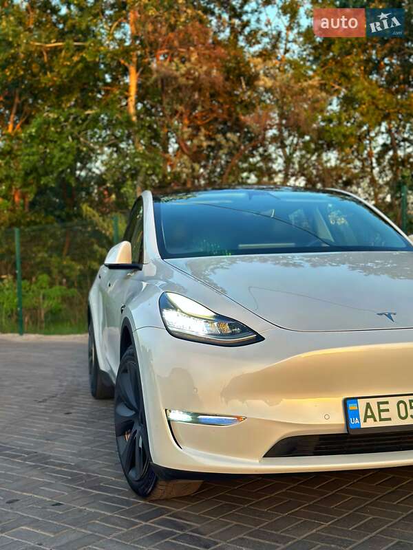 Внедорожник / Кроссовер Tesla Model Y 2020 в Днепре