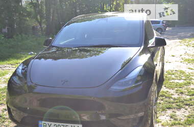 Внедорожник / Кроссовер Tesla Model Y 2023 в Хмельницком