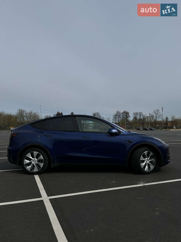 Внедорожник / Кроссовер Tesla Model Y 2020 в Виннице