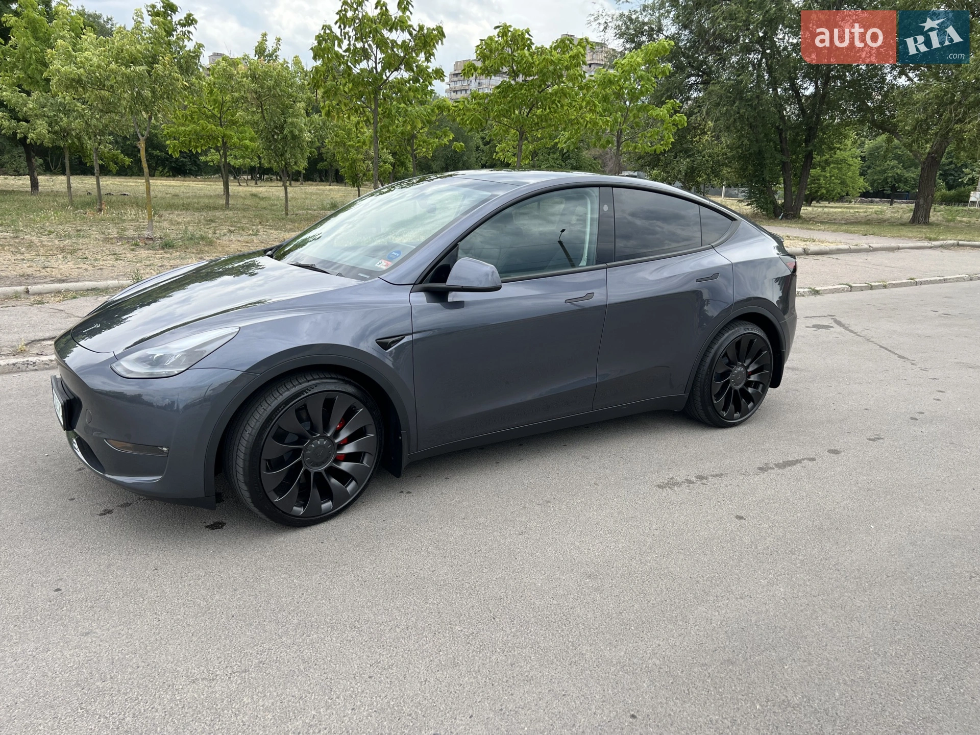 2023 Tesla Model Y - фото 1