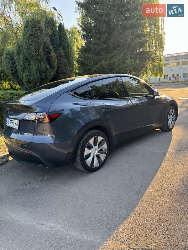 Внедорожник / Кроссовер Tesla Model Y 2023 в Днепре