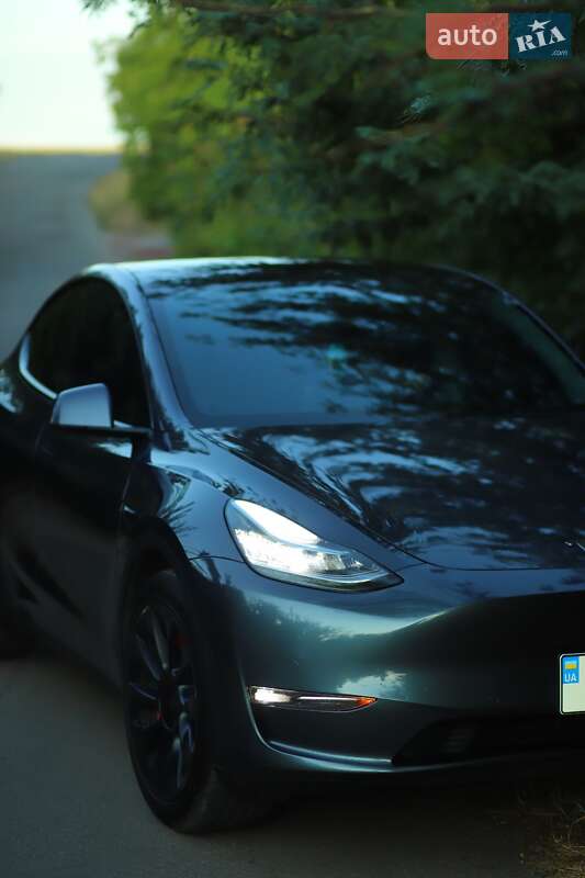 Внедорожник / Кроссовер Tesla Model Y 2021 в Кривом Роге