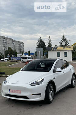 Позашляховик / Кросовер Tesla Model Y 2021 в Ємільчиному