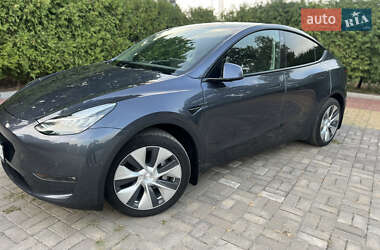 Внедорожник / Кроссовер Tesla Model Y 2021 в Змиеве