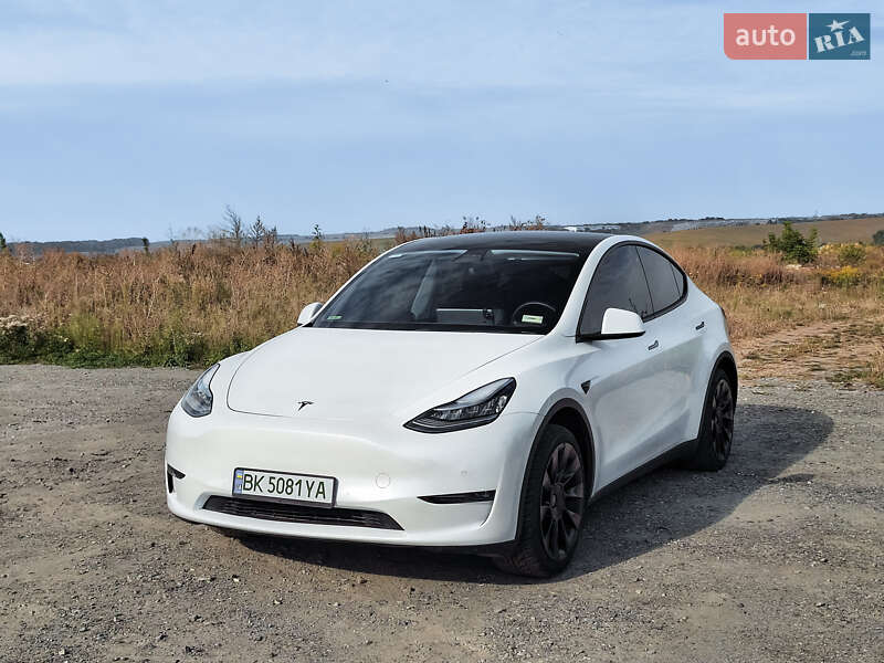 Внедорожник / Кроссовер Tesla Model Y 2020 в 