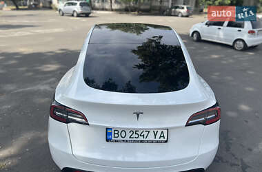 Внедорожник / Кроссовер Tesla Model Y 2020 в Тернополе