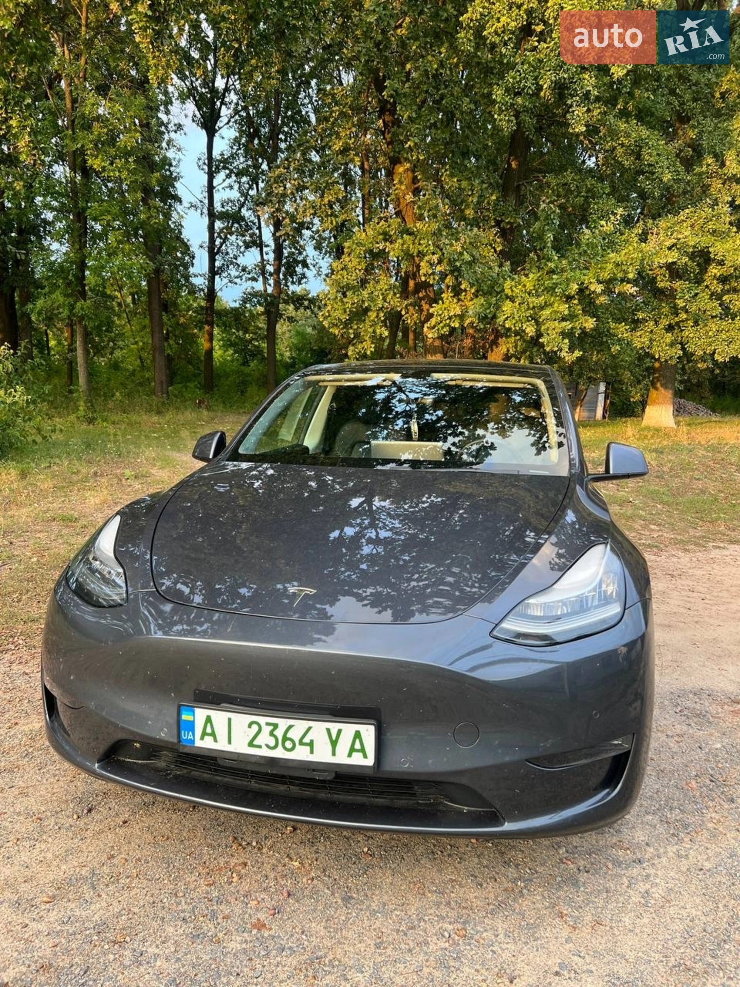 2020 Tesla Model Y - фото 1
