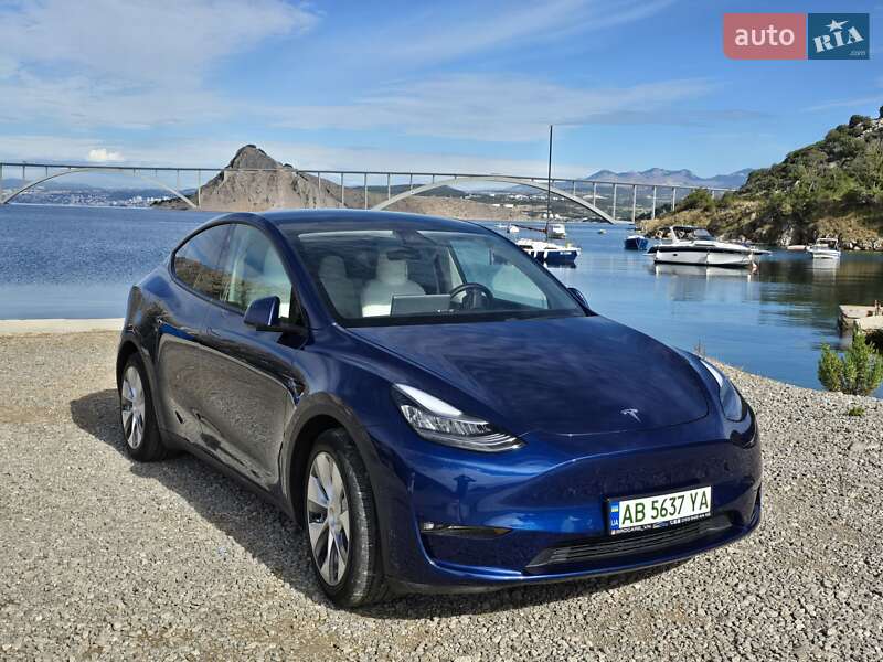 Внедорожник / Кроссовер Tesla Model Y 2020 в Виннице