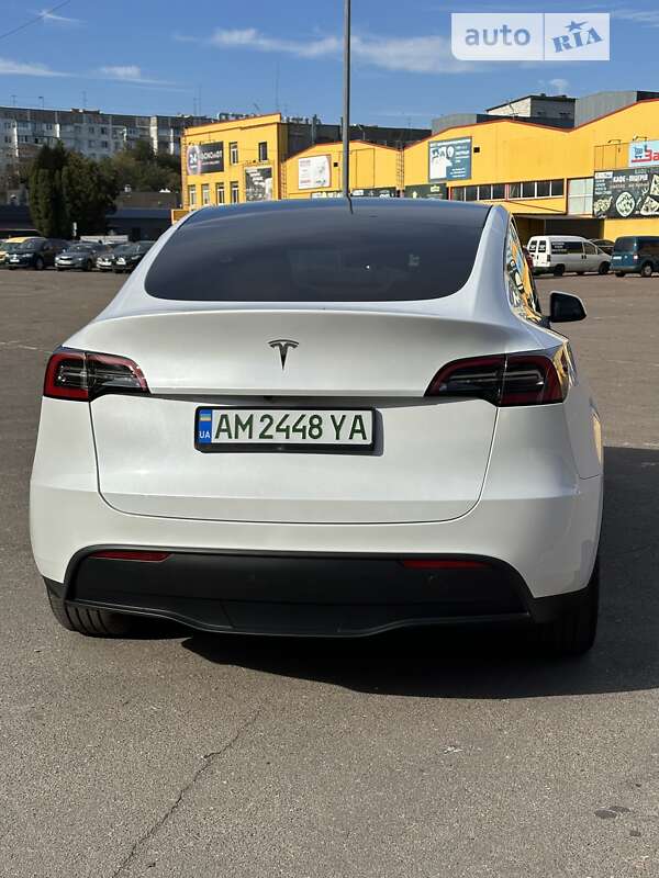 Внедорожник / Кроссовер Tesla Model Y 2023 в Житомире