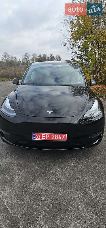 Позашляховик / Кросовер Tesla Model Y 2023 в Звягелі