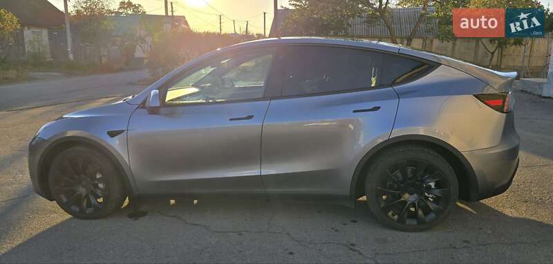 Внедорожник / Кроссовер Tesla Model Y 2023 в Днепре