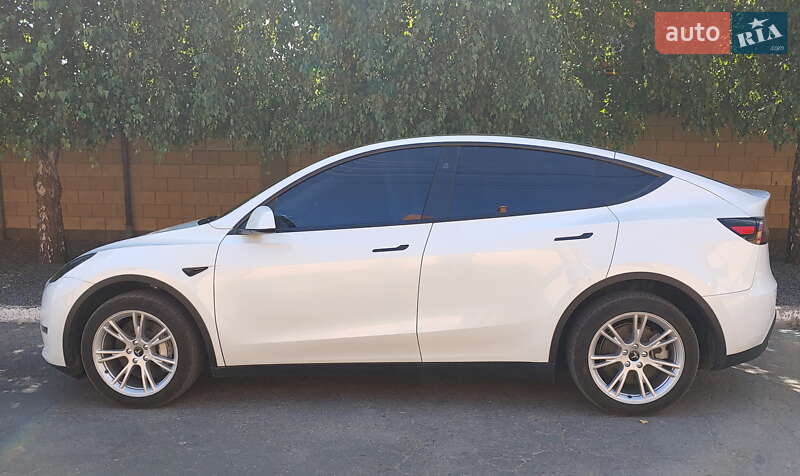 Внедорожник / Кроссовер Tesla Model Y 2023 в Днепре