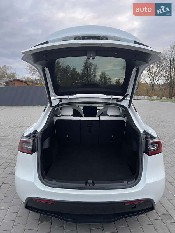 Позашляховик / Кросовер Tesla Model Y 2021 в Івано-Франківську