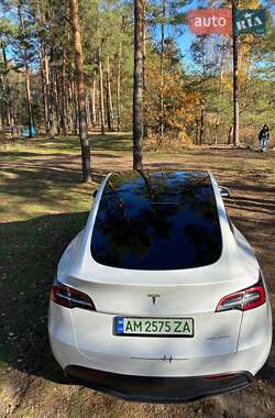 Позашляховик / Кросовер Tesla Model Y 2023 в 