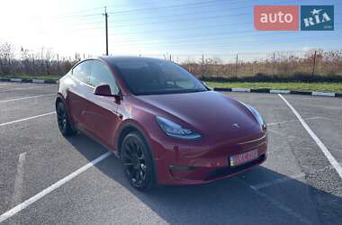 Позашляховик / Кросовер Tesla Model Y 2021 в Рівному