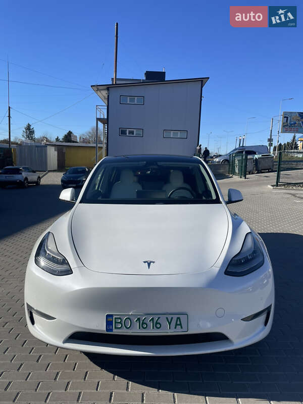 Внедорожник / Кроссовер Tesla Model Y 2020 в Тернополе