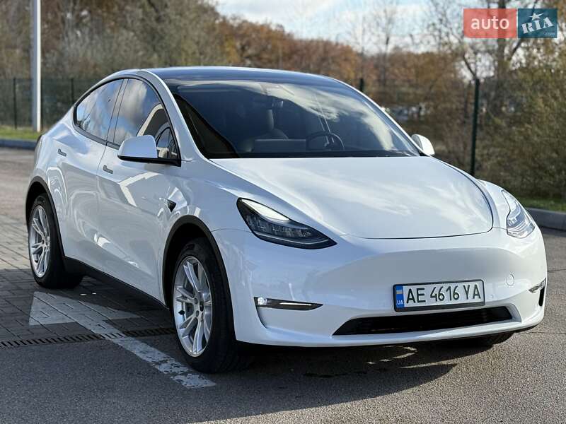 Позашляховик / Кросовер Tesla Model Y 2020 в Дніпрі