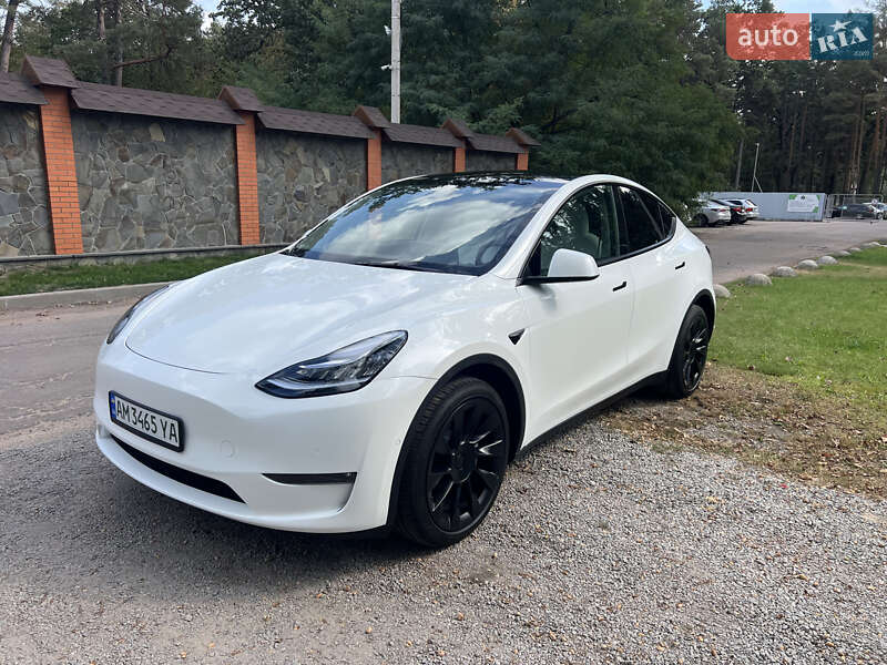 Позашляховик / Кросовер Tesla Model Y 2022 в Житомирі