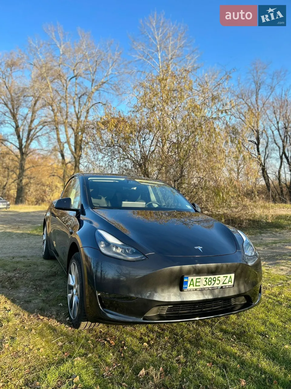 2025 Tesla Model Y - мініатюра 44