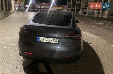 Внедорожник / Кроссовер Tesla Model Y 2023 в 