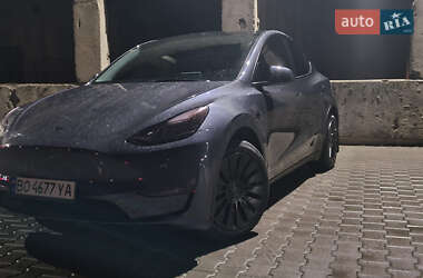 Внедорожник / Кроссовер Tesla Model Y 2023 в 