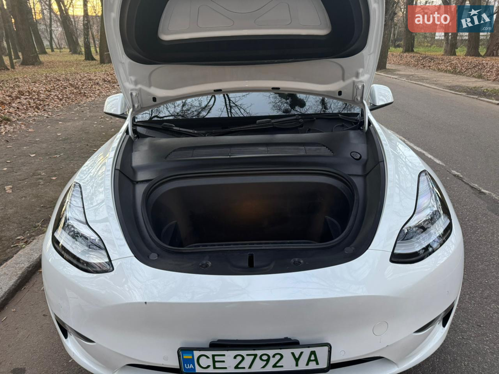 2021 Tesla Model Y - мініатюра 9