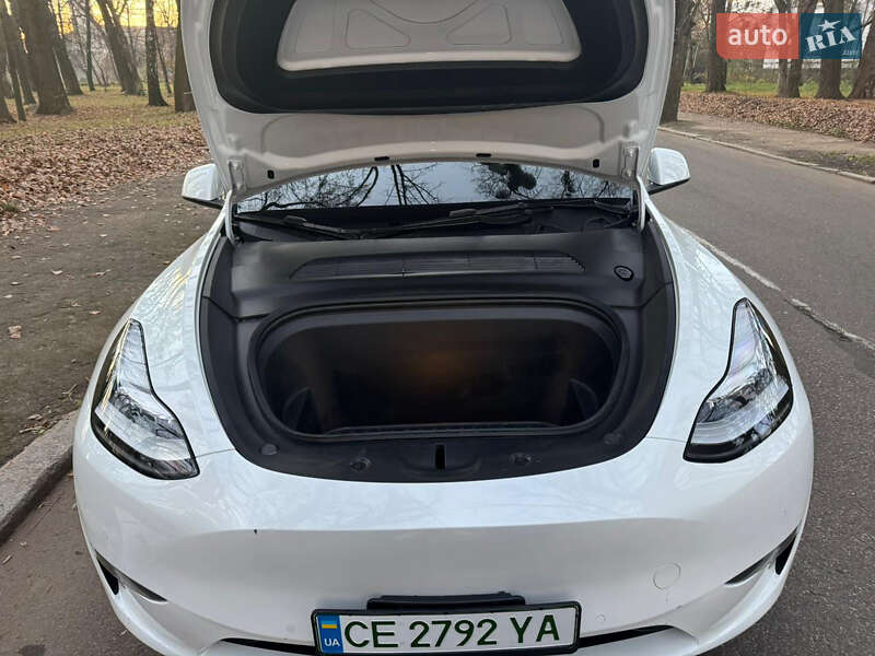 Позашляховик / Кросовер Tesla Model Y 2021 в Чернівцях фото 9 Позашляховик / Кросовер Tesla Model Y 2021 в Чернівцях