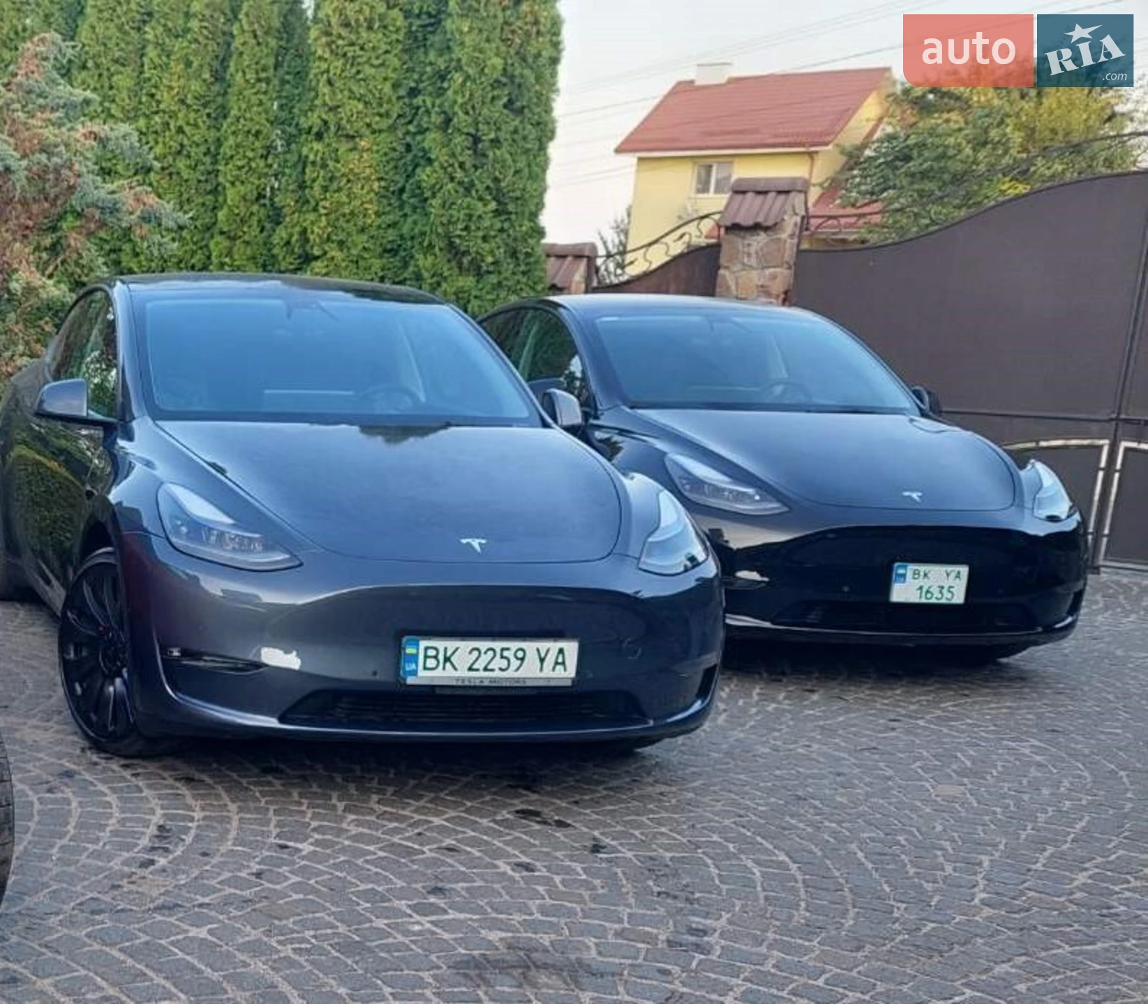 2021 Tesla Model Y - фото 1