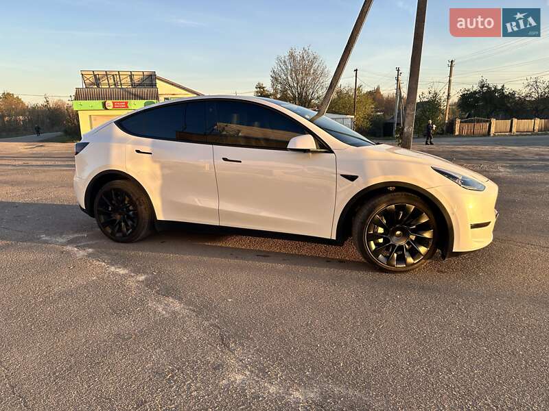 Позашляховик / Кросовер Tesla Model Y 2020 в Олевську