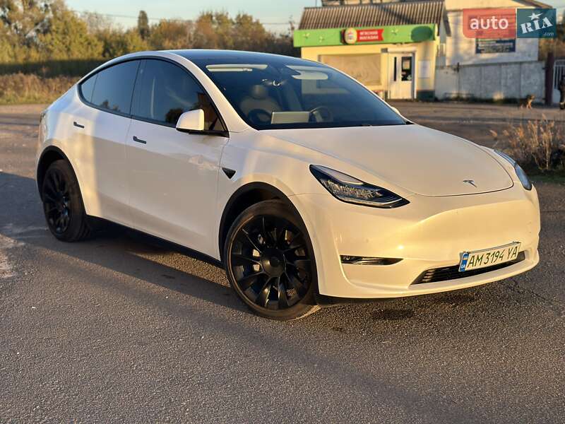 Позашляховик / Кросовер Tesla Model Y 2020 в Олевську