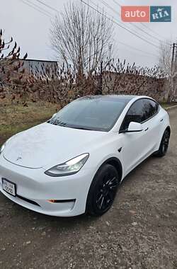 Внедорожник / Кроссовер Tesla Model Y 2021 в Днепре