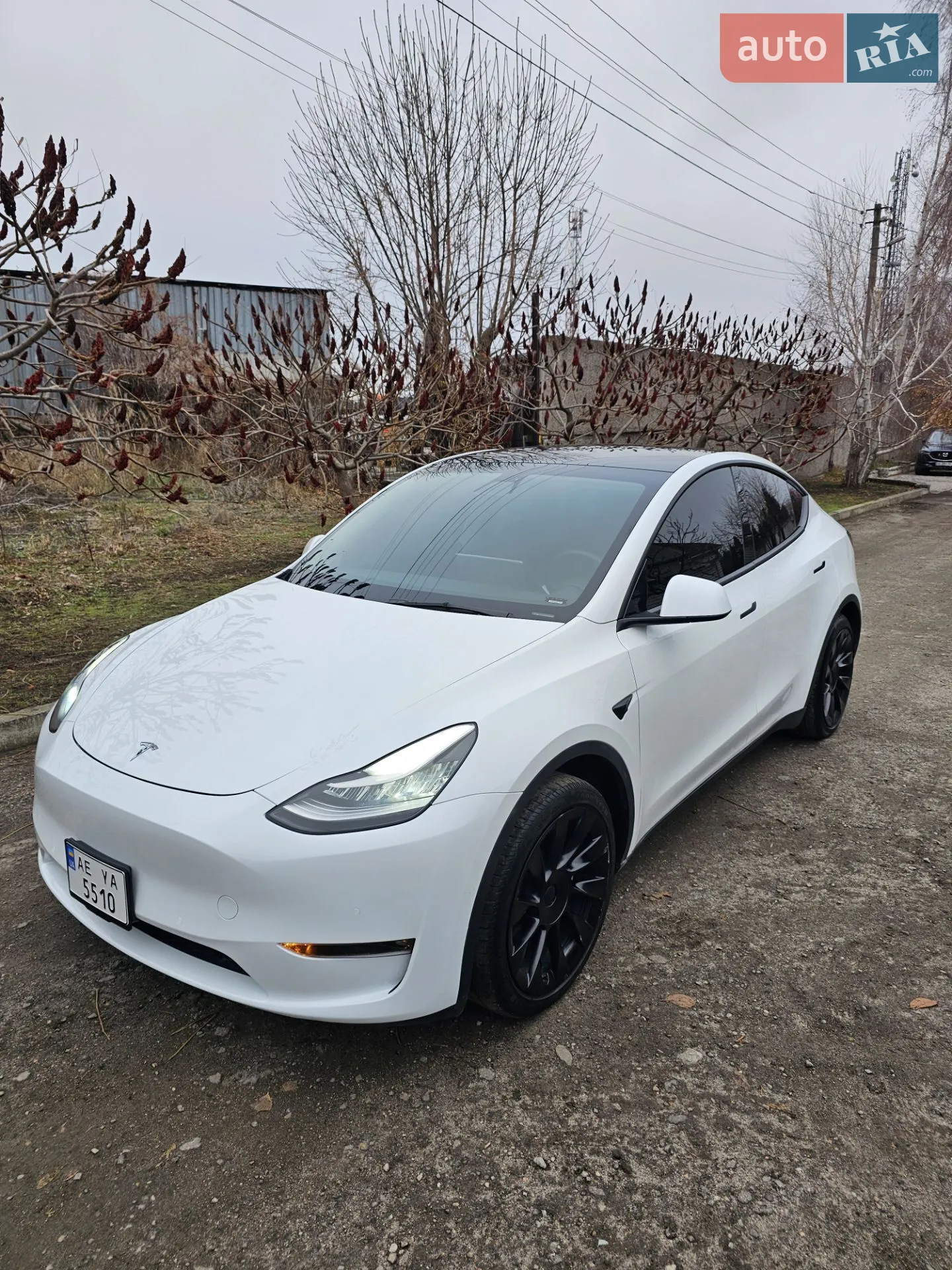 2021 Tesla Model Y - мініатюра 2