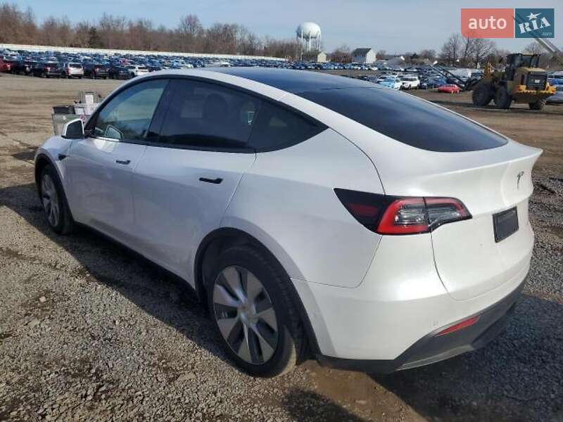 Внедорожник / Кроссовер Tesla Model Y 2020 в Одессе фото 3 Внедорожник / Кроссовер Tesla Model Y 2020 в Одессе