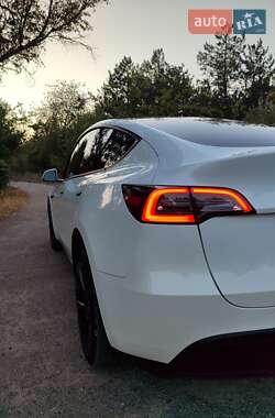 Внедорожник / Кроссовер Tesla Model Y 2023 в Запорожье