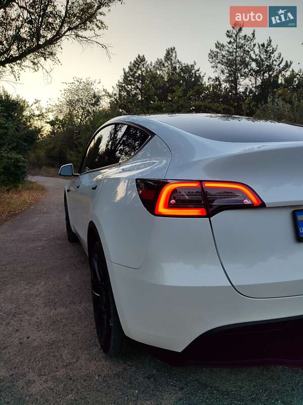 Внедорожник / Кроссовер Tesla Model Y 2023 в Запорожье